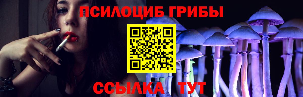 Псилоцибиновые грибы Magic Shrooms Белая Калитва